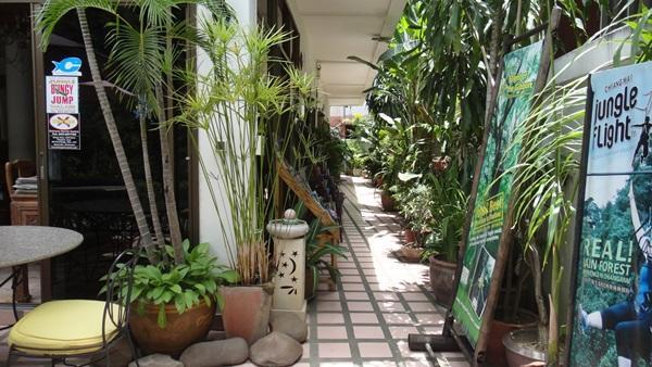 The Red Hibicus Guest House Chiang Mai Buitenkant foto